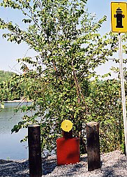 Photo of Dry Hydrant Installation in Constance Bay, Ontario. 